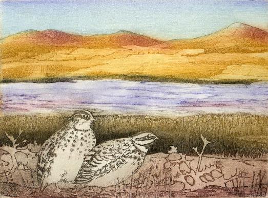 birds